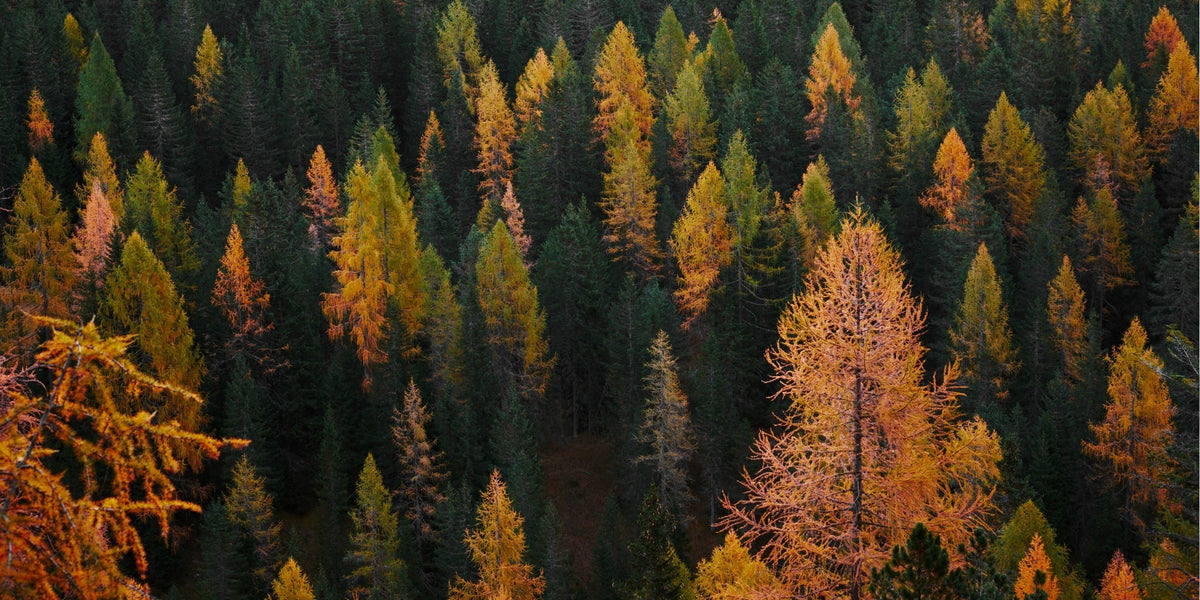 New Discoveries – Autumn 2023