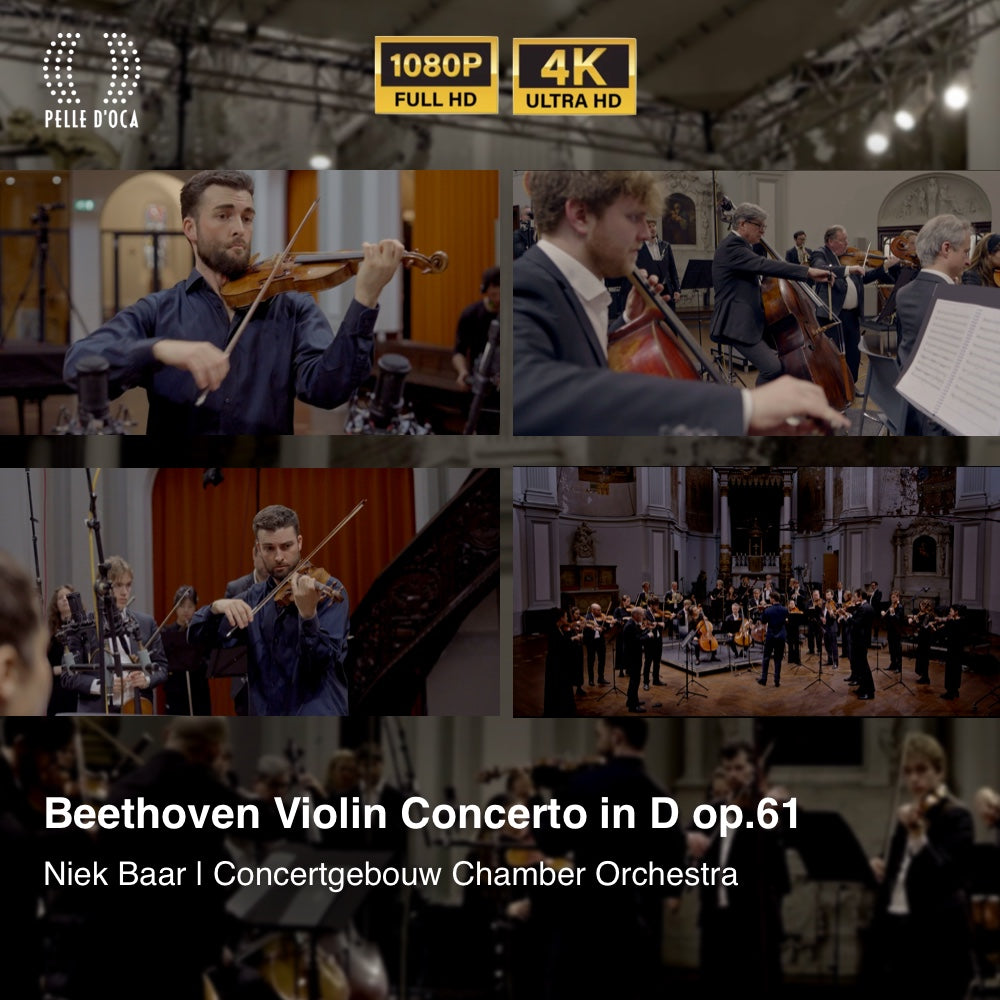 Beethoven Violin Concerto [Visual Album]