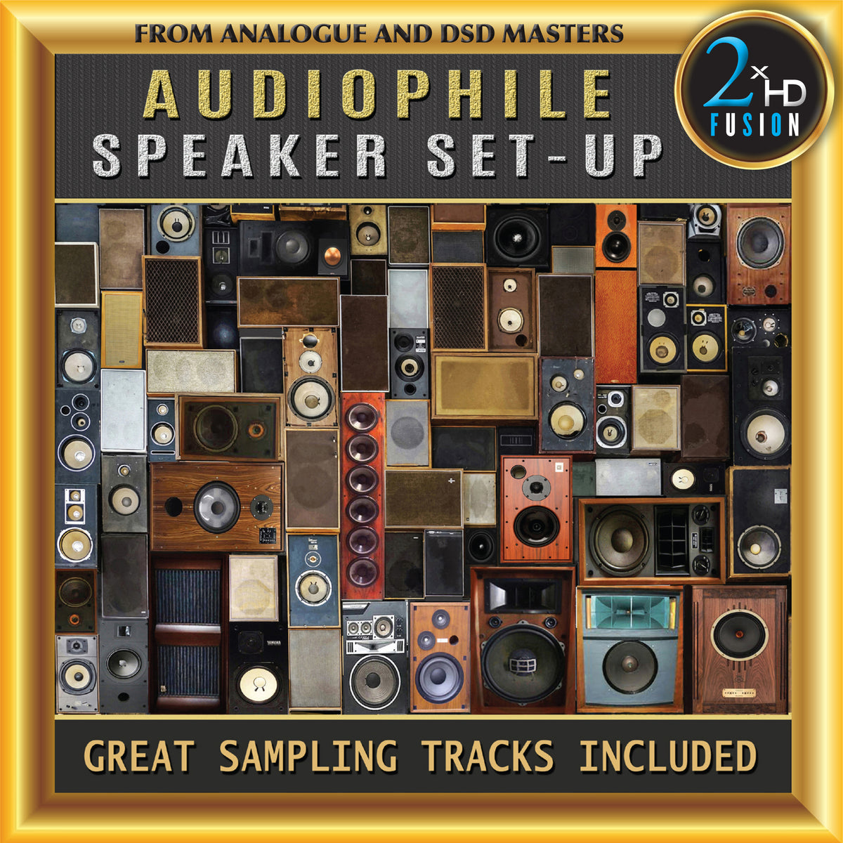 Audiophile Speaker Set-Up