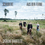 Schubert: From A Distance (Aus der Ferne)