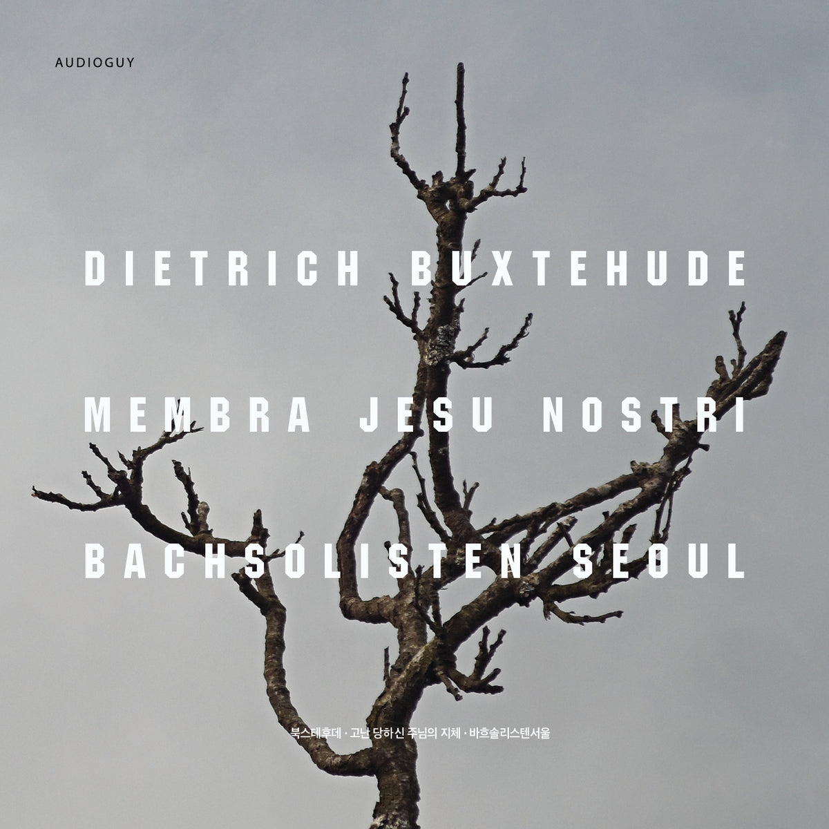 Buxtehude: Membra jesu Nostri