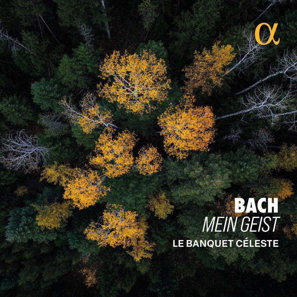 J. S. Bach: Mein Geist (My Spirit)