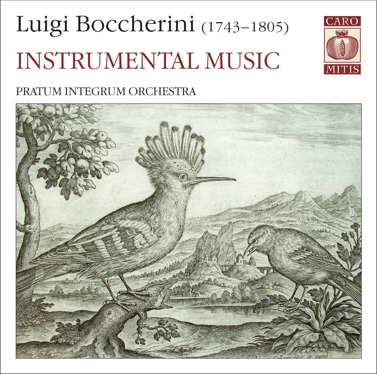 Boccherini Instrumenal Music
