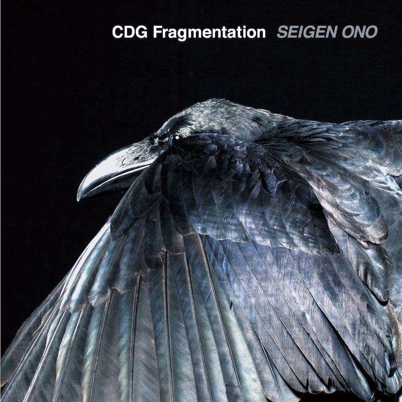 CDG Fragmentation [Pure DSD]