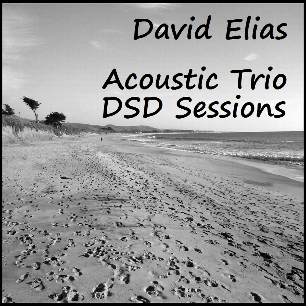 Acoustic Trio DSD Sessions [Pure DSD]
