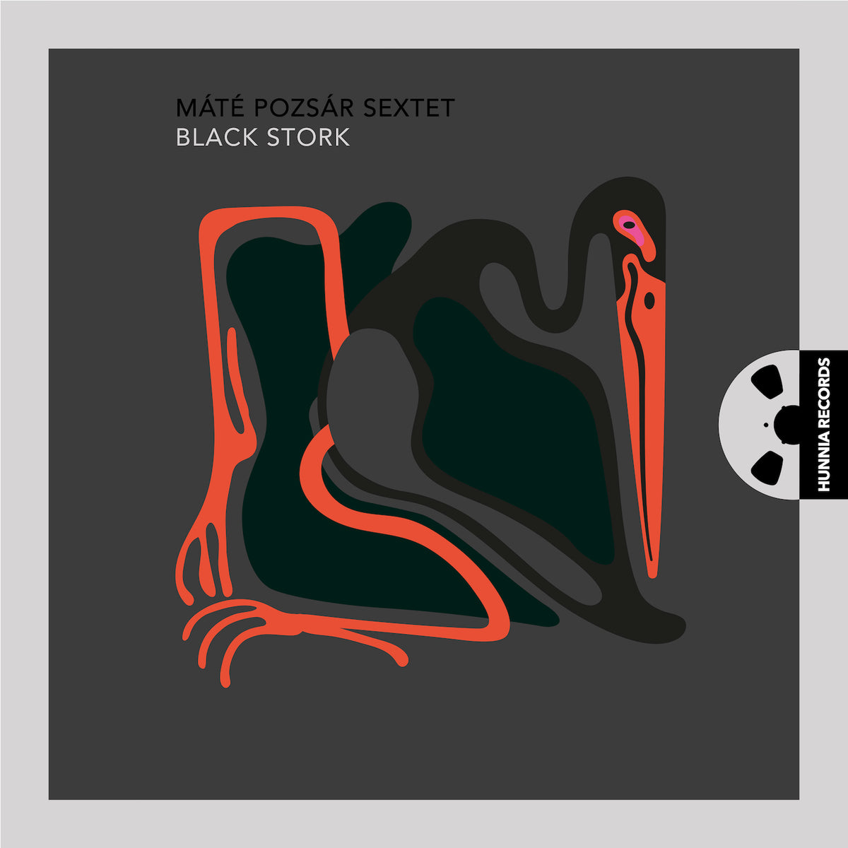 Black Stork