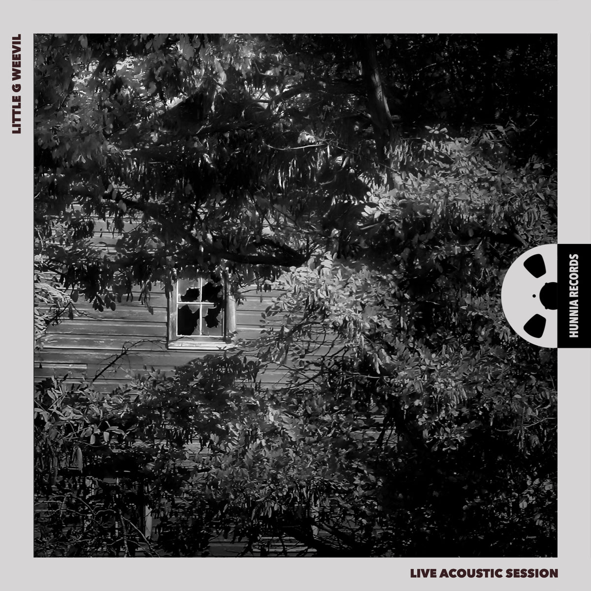 Live Acoustic Session [Pure DSD]