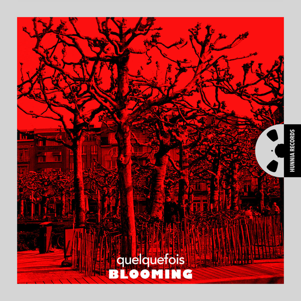 Blooming [PureDSD]