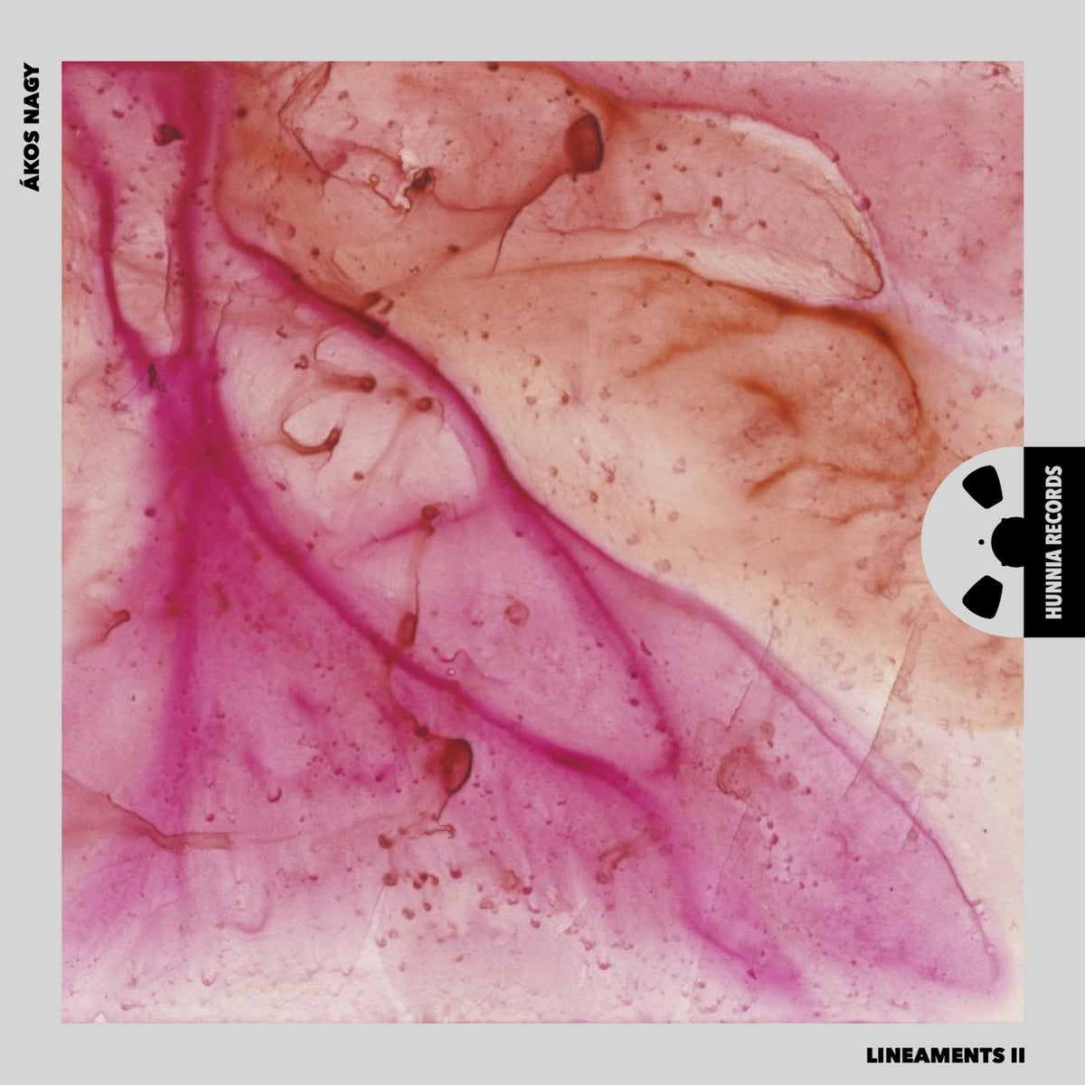 Lineaments II.  [Pure DSD]