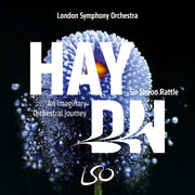 Haydn, An Imaginary Orchestral Journey
