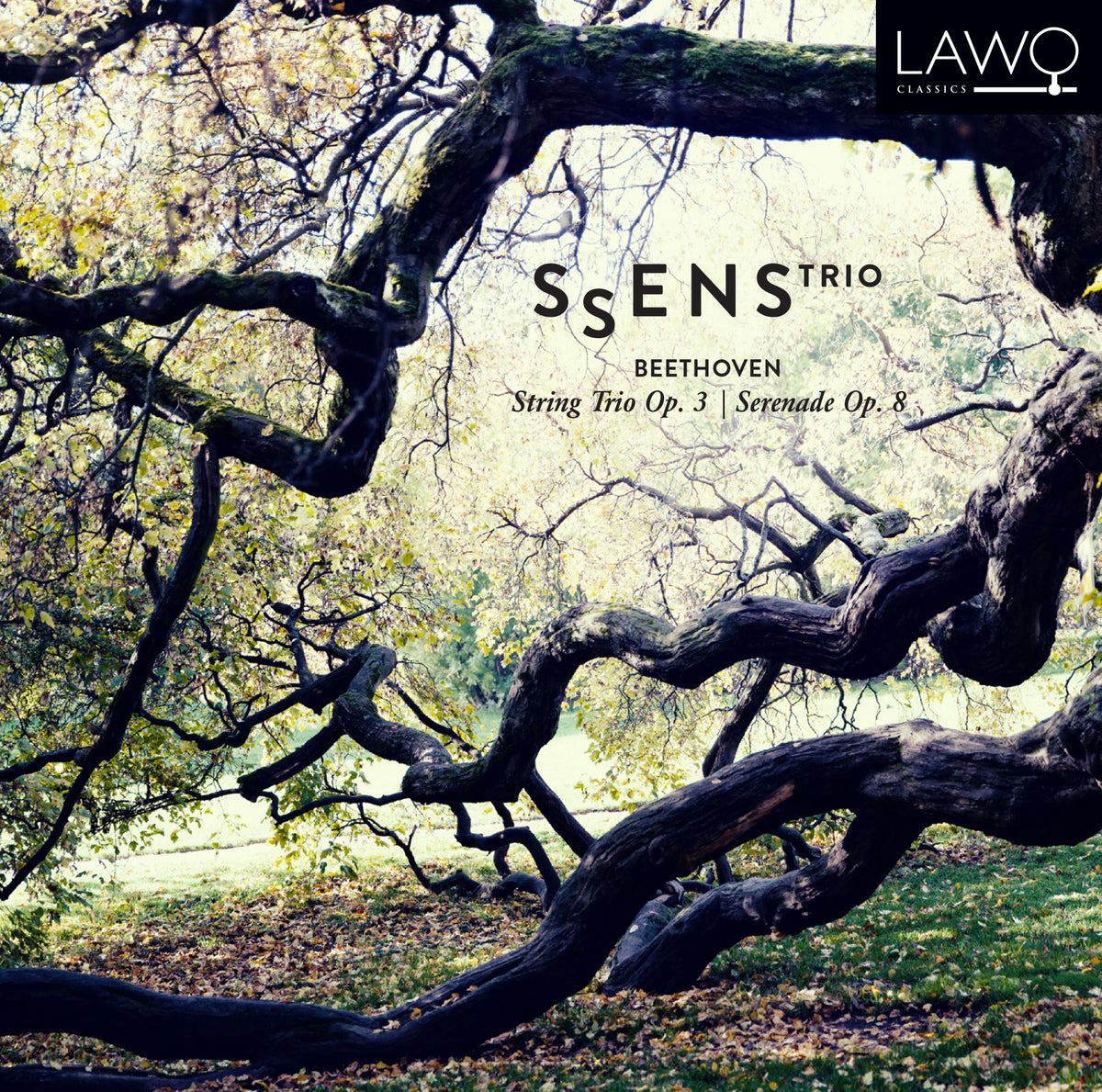Beethoven String Trio Op. 3 | Serenade Op. 8