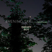 Nature Boy (One Microphone Recording) [DSD Single]