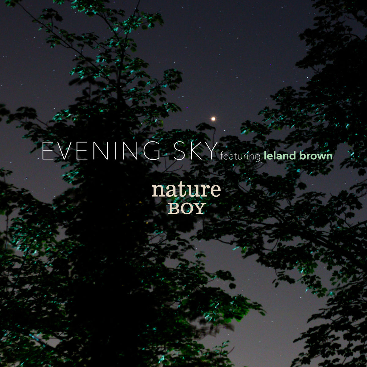 Nature Boy (One Microphone Recording) [DSD Single]
