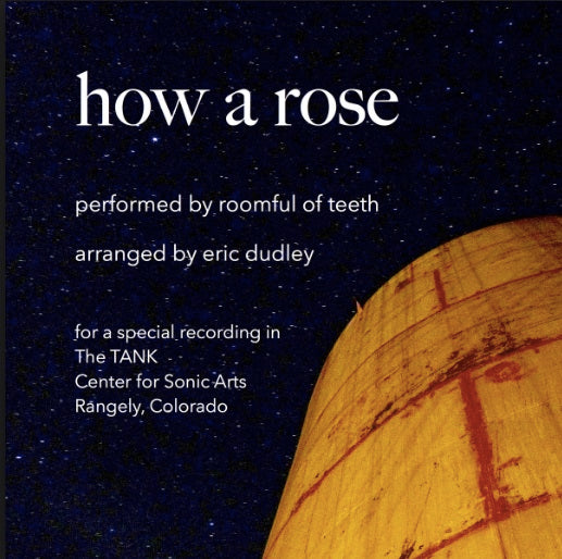 How A Rose