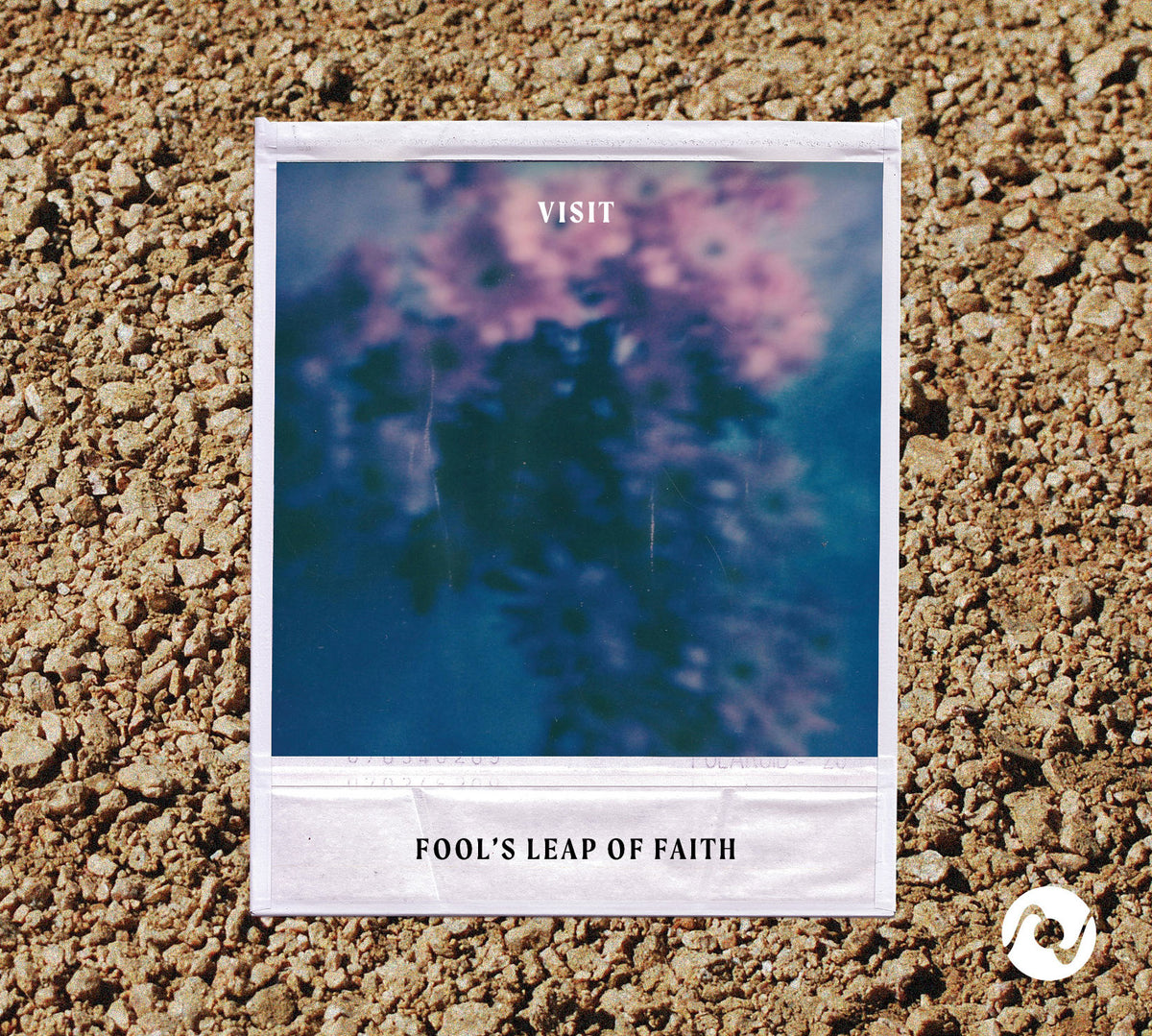 Fool's Leap of Faith