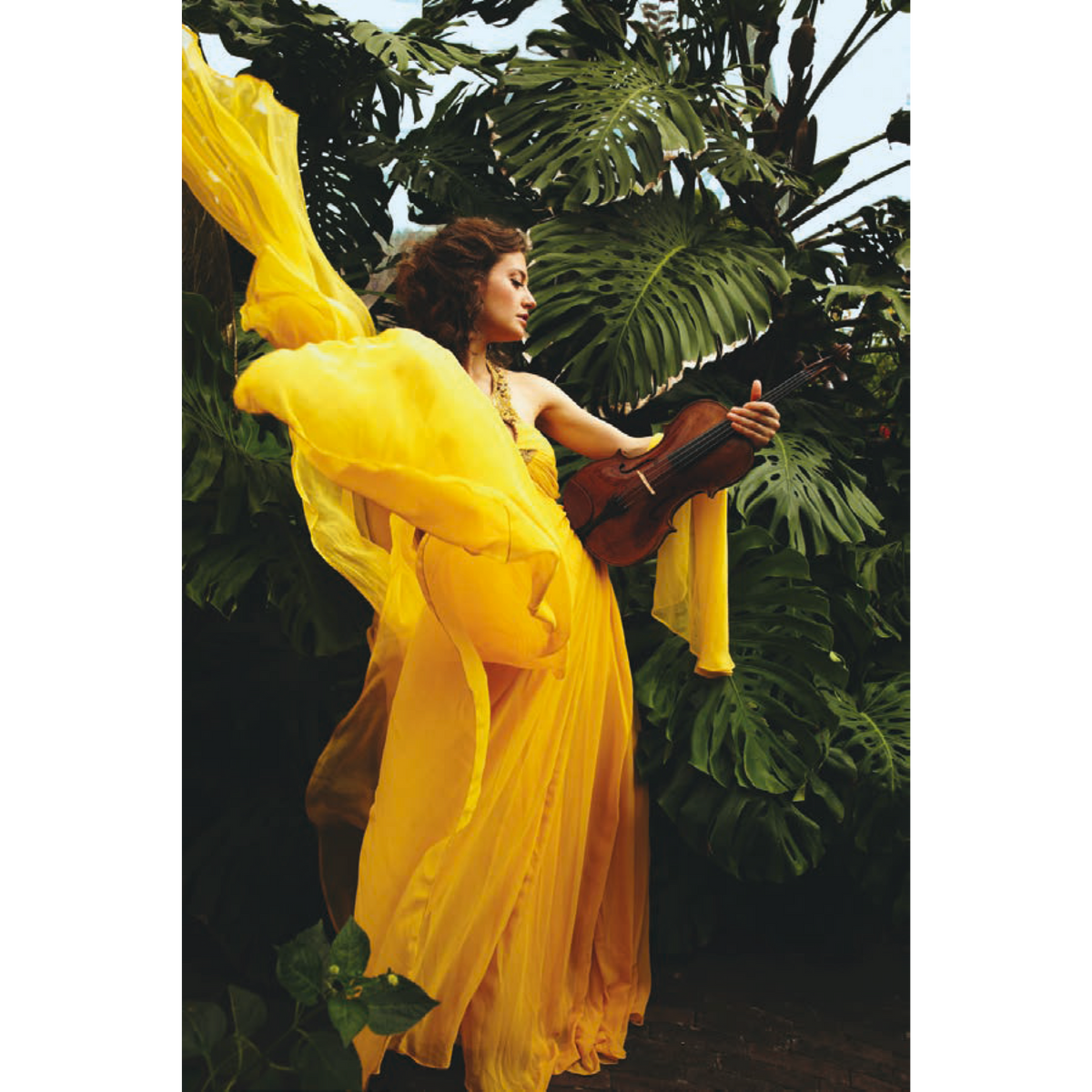 Yellow Butterfly: Latin American Favourites