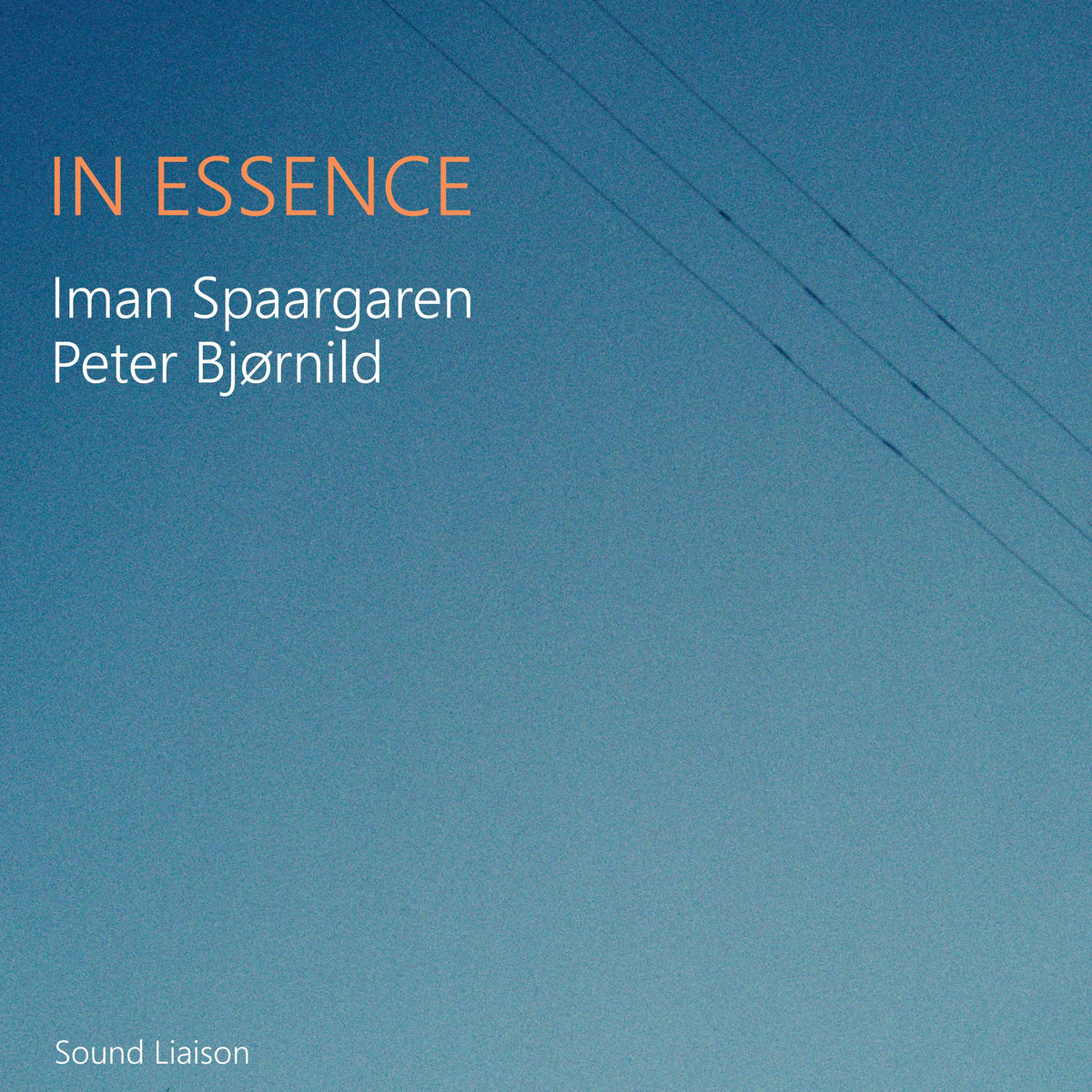 In Essence [One Mic Recording] [Pure DSD]