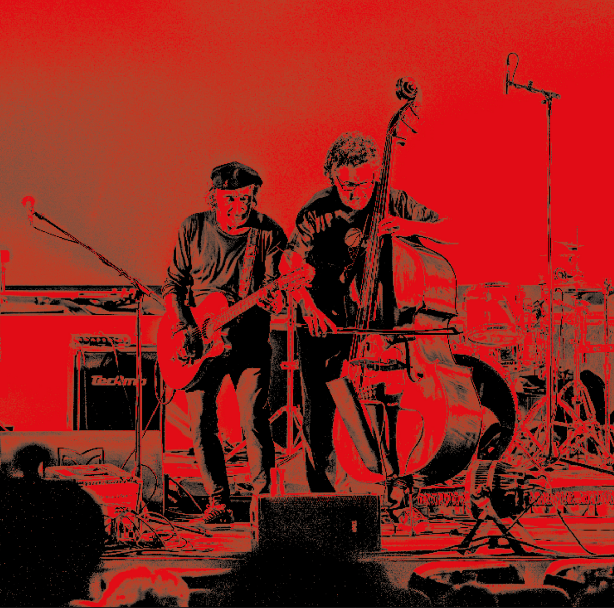 Mesolella & Spinetti Live