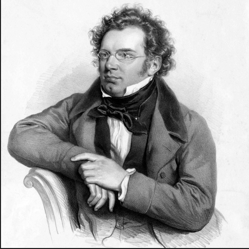 Franz Schubert: Piano Sonatas Vol.3