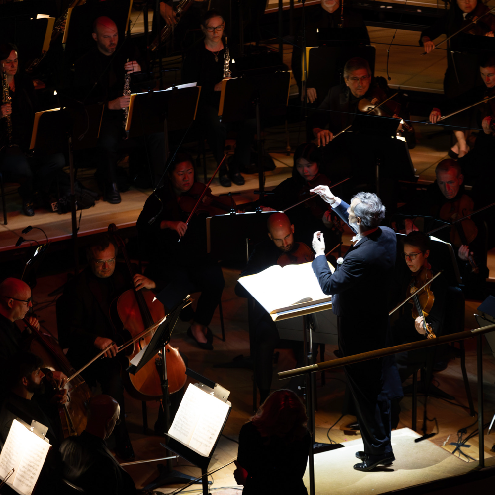 Wagner: Das Rheingold Live (The Rheingold)