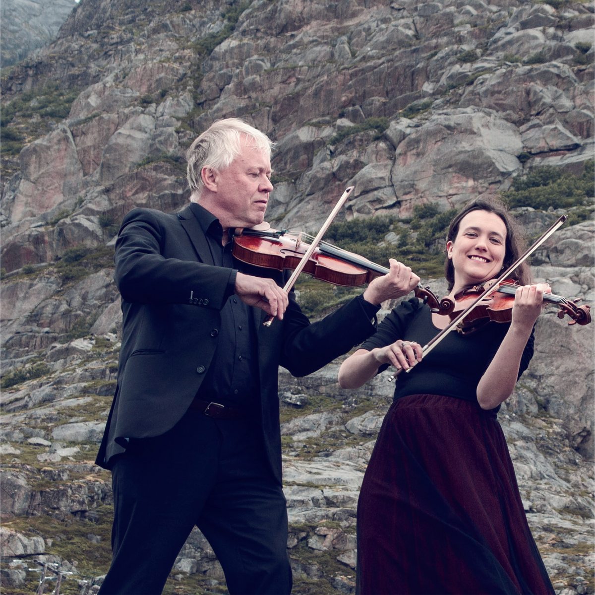 Mozart String Quartets: Viennese Quartets