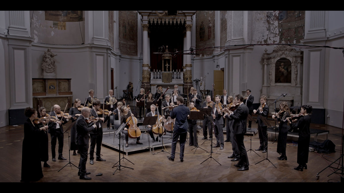 Beethoven Violin Concerto [Pure DSD]