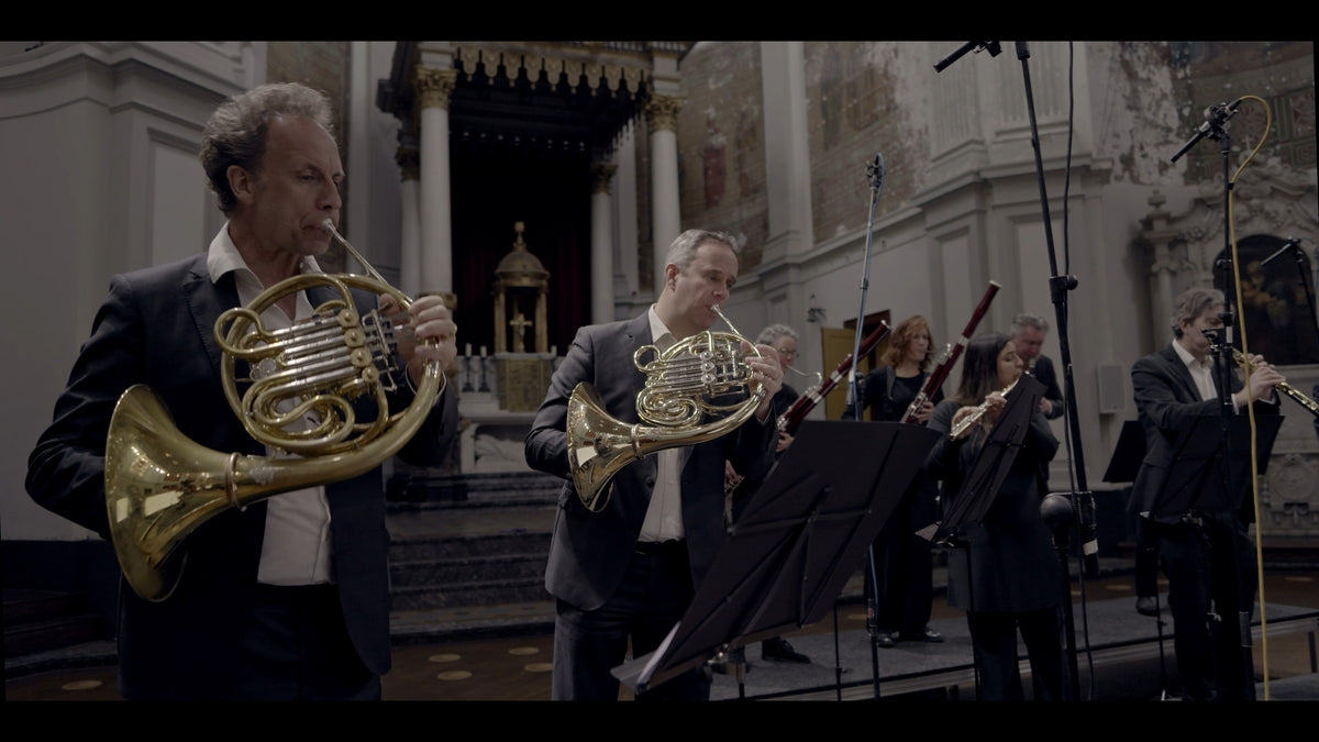 Beethoven Violin Concerto [Pure DSD]