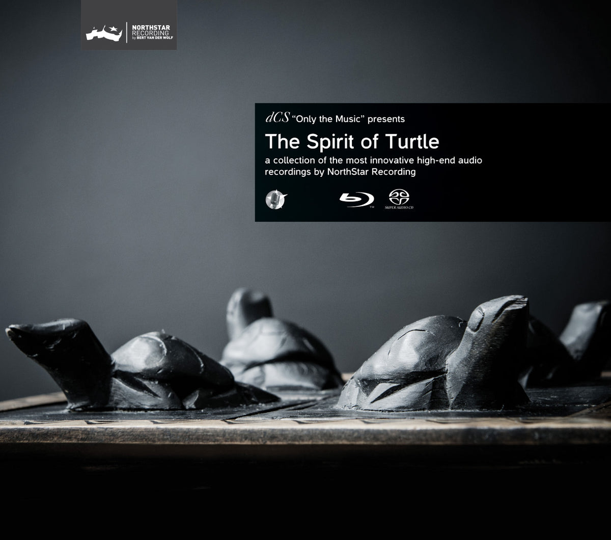 dCS Presents The Spirit of Turtle