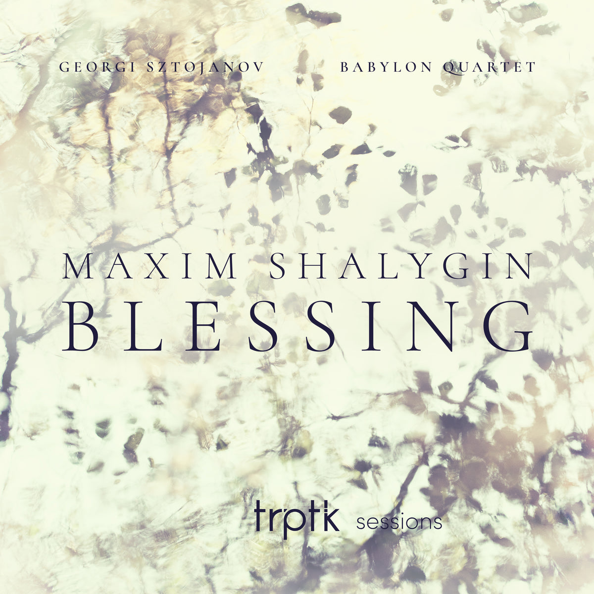 Shalygin - Blessing