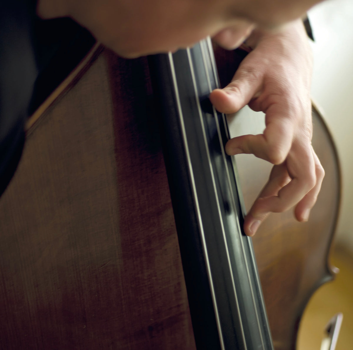 Ander Perrino: Double Bass