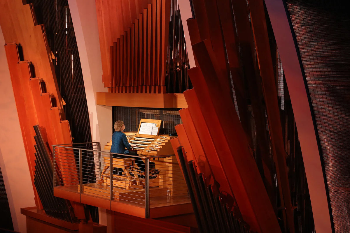 The Orchestral Organ