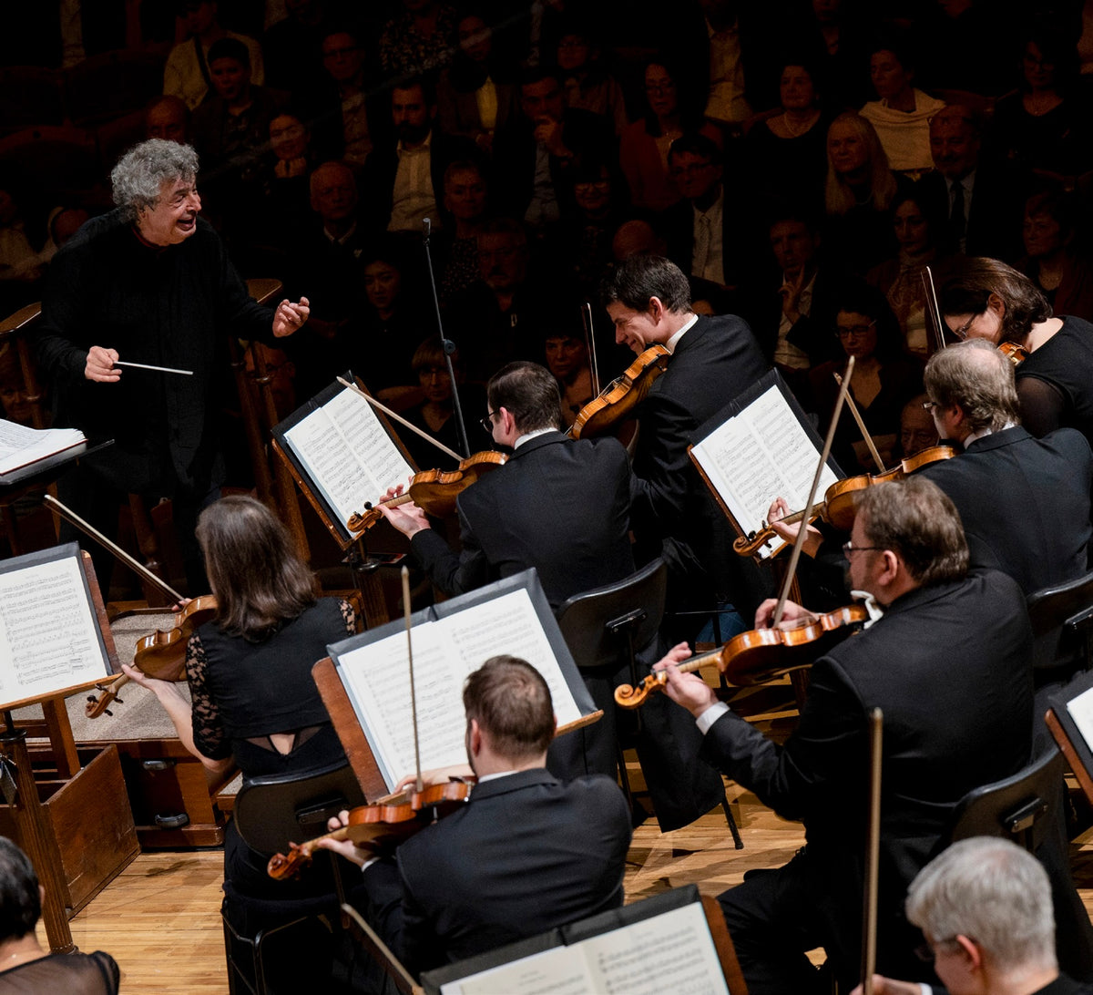 Smetana: Ma Vlast (My Homeland)
