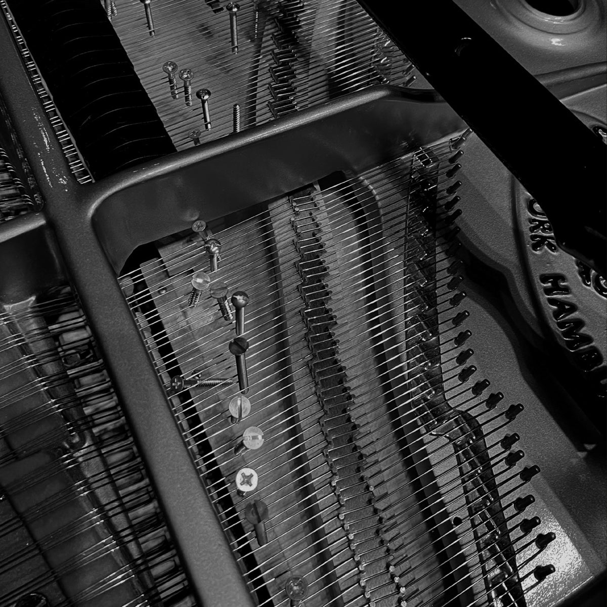 Bach Uncaged