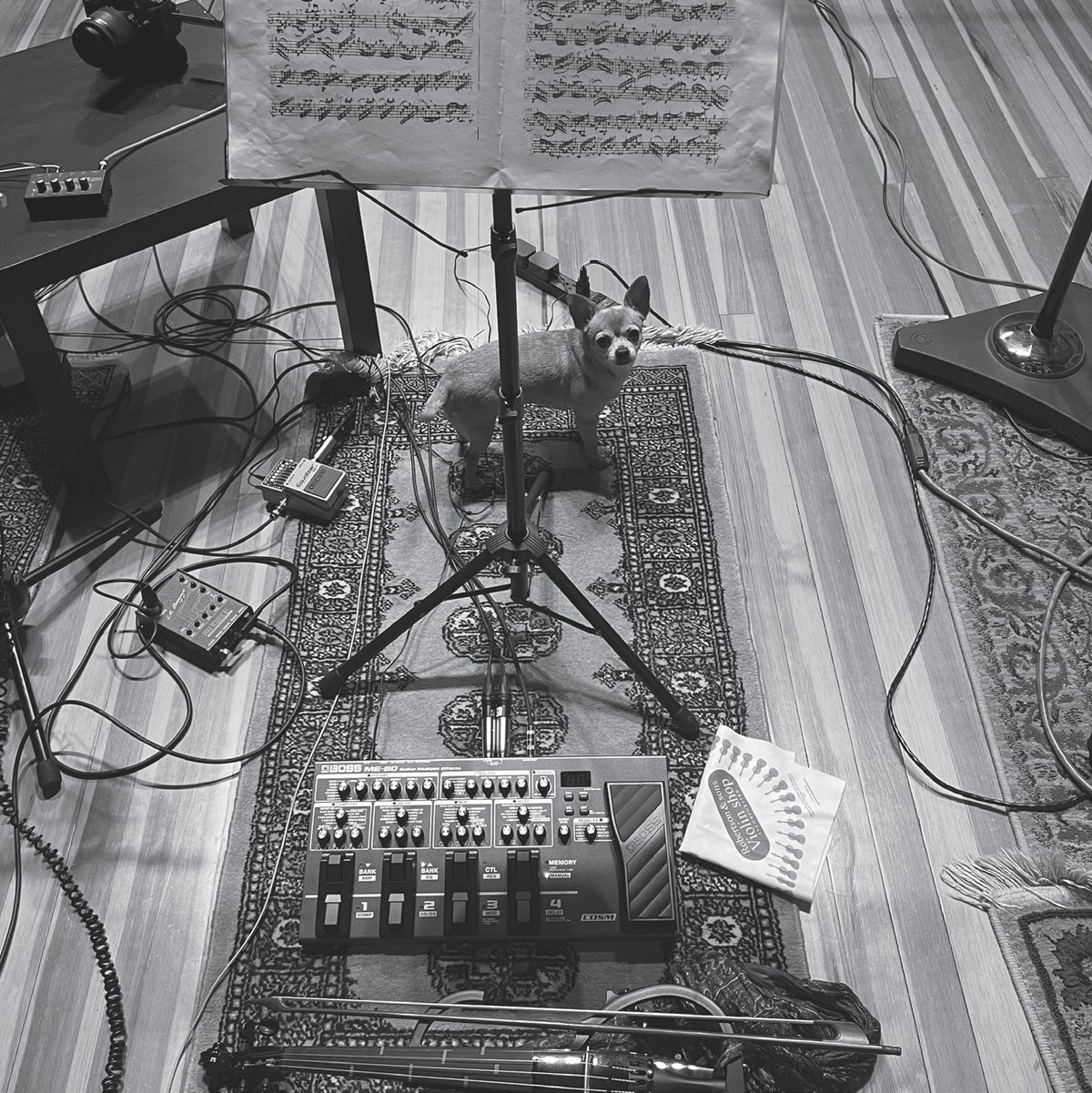 Bach Uncaged
